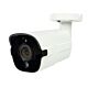 Videoövervakningskamera PNI IP818JS, POE