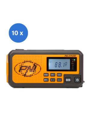 Bärbar radio PNI DYN300